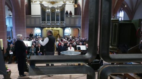 Orgel im Blickfeld