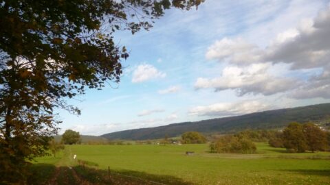 Grüne Wiesen und blauer Himmel