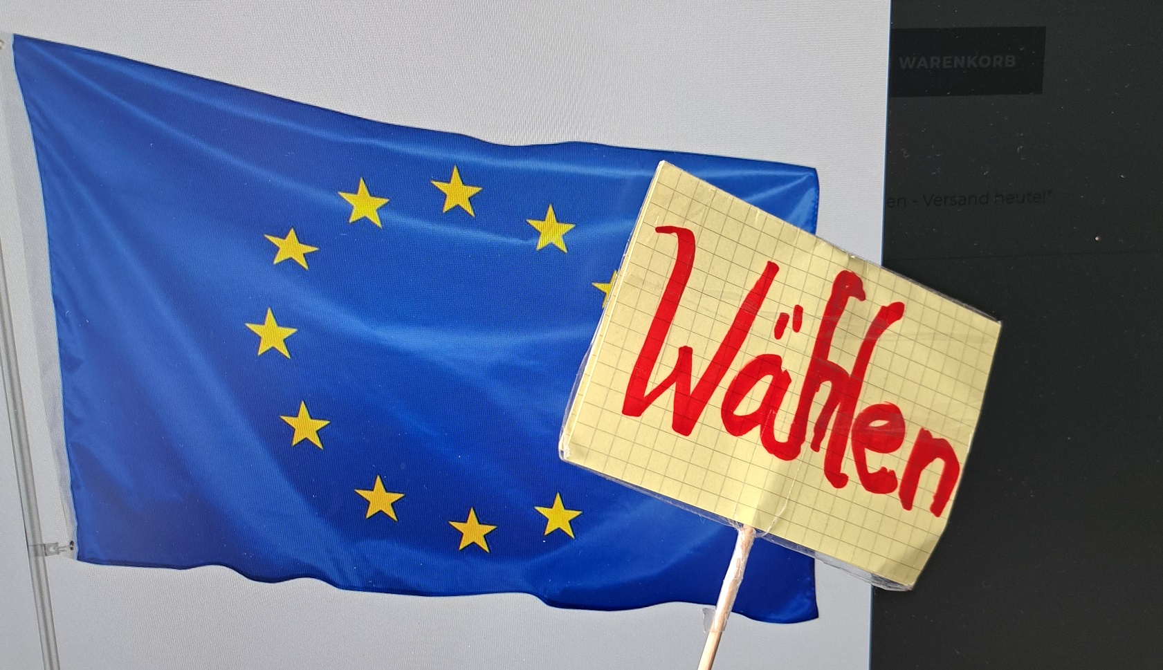 Geh wählen